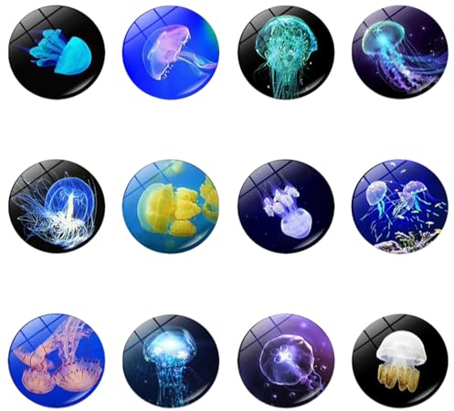 Mini Magnet Für Magnettafel Die 12Er Packung Enthält Ozeanfarbene Quallen Kühlschrankmagnete Zeit Edelstein Magnetkristallglas Nachrichtenaufkleber