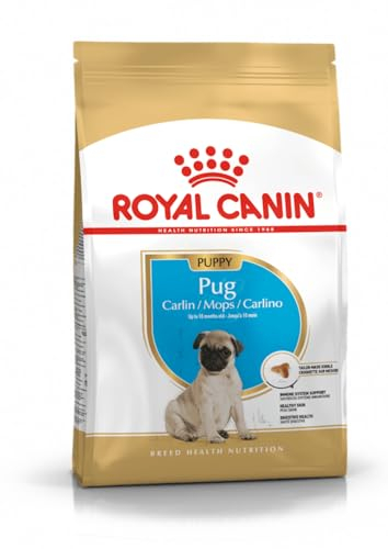 ROYAL CANIN Pug Puppy | 1,5 kg | Trockenfutter für Hunde | Speziell für Mops-Welpen bis zum 10. Monat | Zur Unterstützung der körpereigenen Abwehrkräfte | Exklusive Krokette