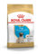 ROYAL CANIN Pug Puppy | 1,5 kg | Trockenfutter für Hunde | Speziell für Mops-Welpen bis zum 10. Monat | Zur Unterstützung der körpereigenen Abwehrkräfte | Exklusive Krokette