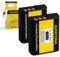 PATONA 2X NP-BG1 Batterie 1000mAh Compatible avec Sony CyberShot DSC H3 H7 H9 H10 H20 H50 H55 H70 H90 N1 N2 T20 T25 T100 W30 W35 W50 W55 W70 W80 W85 DSC-HX5 HX5V HX30V WX1 Cyber Shot NPBG1 NP BG1