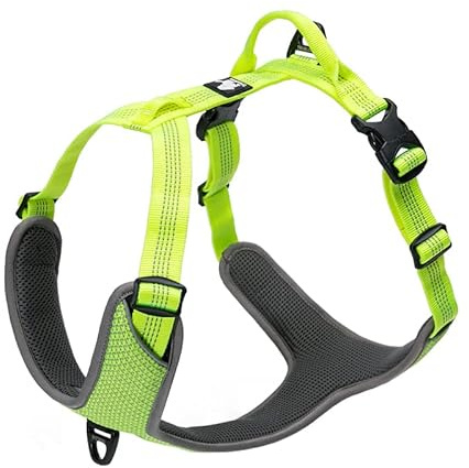 Truelove No-Pull Highly Reflective Breathable Dog Harness, Neon Yellow, XL | Full Reflective Straps & Main Body, 2 Lead Rings, Durable for Medium & Large Dogs, Adjustable, Outdoor Walking, TLH6071