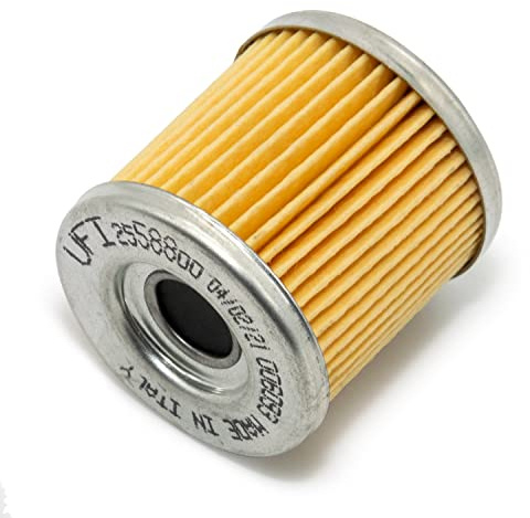 Aprilia oil filter for RXV, AP9150166