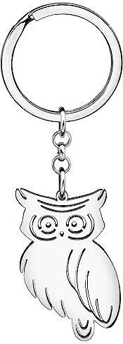 DALANE Edelstahl Niedliche Eule Schlüsselanhänger Mode Vogelschmuck Eule Geschenke für Frauen Mädchen Charms Auto Schlüsselanhänger Ringe (Versilbert)