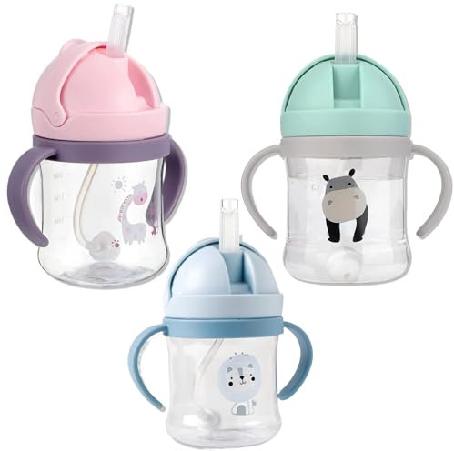 Neo10Ten Leakproof Sippy Cup for Toddlers, Baby Bottle with Straw and Lid, Weighted Straw Sippy Cups for 6 Months, Non-Spill, BPA Free Toddler Water Bottle [Blue 250ml]