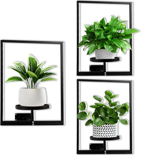 DETENE 3 Pièces Support pour Plantes d'intérieur avec Vis Étagère pour Plantes en Métal Étagère Murale pour Plantes Supports de Pots de Fleurs pour Maison Jardin Balcon Salon Terrasse Cour 