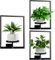 Detene 3 Piezas Soporte Para Plantas De Metal Negro Estanteria para Plantas Interior Soporte para Macetas para Cocina, Dormitorio, Baño Patio, Jardín, Balcón