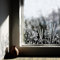 Neukids Blume Gras Adhäsionsfolie Fenster,Transparente Wiesenblumen Fenster Deko,Fensterfolie Muster Statische Fensterfolie,Fenstersticker Geeignet für Wohnzimmer Schlafzimmer Küche Kinderzimmer