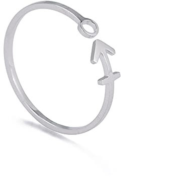 Dreamtimes Edelstahl Sternzeichen Ringe für Frauen 12 Sternzeichen Offener Ring Widder Löwe Jungfrau Zwillinge Waage Fische Skorpion Geburtstagsgeschenk (Schütze)