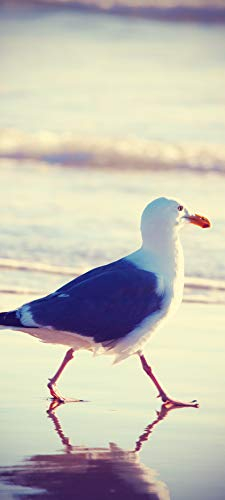 Bilderdepot24 Türtapete Möwe am Strand Vintage 90 x 200 cm - einteilig Türaufkleber Türfolie Türposter - Küste Ufer Meer