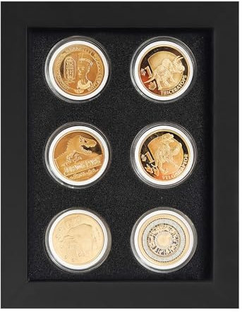 Challenge-Münzvitrine, Münzvitrine, Casino-Chip-Vitrine, Schattenbox, 6 Münzen, Münzvitrine, Militär-Herausforderung, Münzständer, Massivholzrahmen, Glastür, mit 6 Münzkapseln.