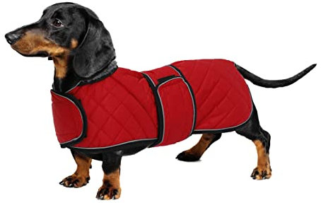 Geyecete - Warmer wintermantel für dackel Hunde,Hunde winterjacken mit plüschfutter,Outdoor jacken mit verstellbaren gürtel und Kabelbaumloch ,für mittelgroße und Kleiner dackel-Rot-L