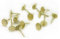 Chiodi a testa piatta, puntine a pressione estese, chiodi piatti, chiodi-Oro * 11 mm * 17 mm * 100 pezzi