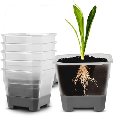 Recitem Kräutertopf Küche Fensterbank selbstbewässernd Set,Kräutertopf Plastik und Sämlingstöpfe sind wiederverwendbar,Für Küche, Balkon, Schlafzimmer,Balkon Schreibtisch (5 Grau)