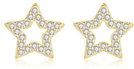 Estrellique 925 Sterling Silber Ohrstecker, Zirkon Klein Stecker Ohrringe, Hohl Herz/Stern Ohrstecker für Damen Mädchen, Hypoallergen Knorpel Schlafen Ohrstecker, 8mm Silber/Rosegold/Gold Ohrstecker