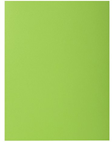 Exacompta Pack of 10 rigid folders Rocks 210 g/m2 green