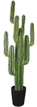 kunstpflanzen-discount.com Finger Cactus künstlich 147cm im dekorativen Topf - künstliche Kakteen Finger Cactus mit Armen und Stachel ideal für Wüsten Dekorationen