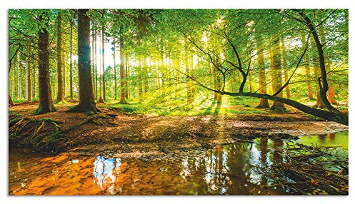 ARTland Spritzschutz Küchenrückwand aus Alu für Küche Herd Spüle 55x100 cm (BxH) mit Motiv Natur Landschaft Wald Bäume Sonne Bach Landhaus Grün T9IO