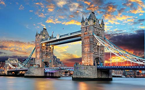 SHILIHOME Tower Bridge Londres Peinture par Numéros DIY Unique