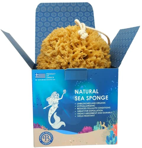 Jordan Benedict Natural Sea Sponge, Unbleached Honeycomb Bath Sponge, Exfoliating Bath Sponges for Adults, Organic Shower Sponges for Women and Men (M, 1 Piece)