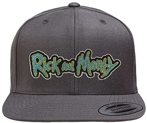 Rick and Morty Offizielles Lizenzprodukt Premium Snapback Cap (Dunkelgrau), Einheitsgröße