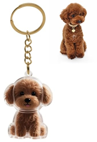 GXGM Porte-clés collecteur de poils de chien,Porte - clés memorial pet,Nounours