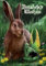 Anne Stokes Geburtstagskarte, Motiv: Hase und Sprite