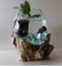 Aquarium/Vase en Verre soufflé sur Racine de Bois, modèle Unique (Hauteur Environ 25cm) pour Poisson Combattant, Betta. Envoi de Photos pour Choisir après Votre Commande. Livraison en Point Relais.