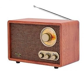 Adler Retro Radio mit Bluetooth und Teleskopantenne FM/AM 10W RMS Bass/Höhenkontrolle AD1171