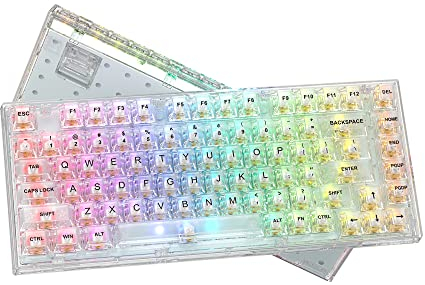 Womier 75% Percent Mechanical Gaming Keyboard, Gasket Mount, K75 82 Keys Wired, Hot Swappable, Pre-lubed Switch for Mac/Win, Fully Transparent RGB