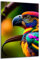 DARO Design - Wand-Bild auf 6mm HDF 70x50 cm bunter Papagei - Wand-Deko Bilder Geschenk