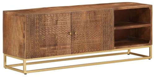 vidaXL Meuble TV, Armoire de Télévision avec Pieds, Meuble Télé de Salon, Armoire de Rangement Intérieur, Bois Massif de Manguier et Fer