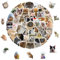 Dcsfadq Katzen-Emoji Sticker Set: 50 Stück Lustige Meme Aufkleber für Laptops und mehr - Cute & Aesthetic DIY Dekoration