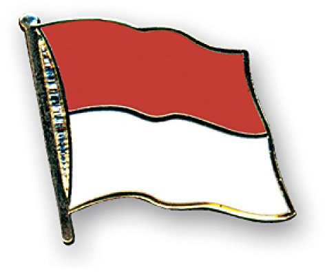 Flaggen-Pin vergoldet : Monaco