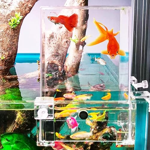 Fish Elevator Inverted Aquarium Vacuum Fish Tower Above The Water Large Fish Tank Decorations Expanded Swim Area Aquarium Decor Accessories Fish Stuff Make Your FishFlyAbove The Water