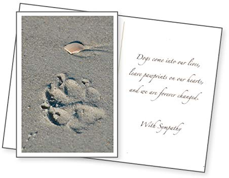 Dog Speak Pfotenabdruck im Sand Trauerkarte