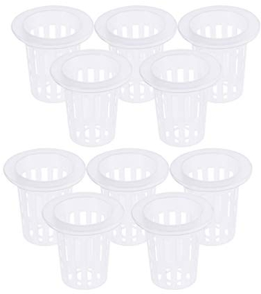 10 vasi per piante idroponiche per orchidee, piante grasse, cactus