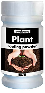 Jeanny Plant Rooting Hormon Powder for Cuttings Plant Root Growth Stimulator Plant Root Booster Plant Root Growth Hormon Help New Roots Cuttings And Promote Strong Healthy Roots