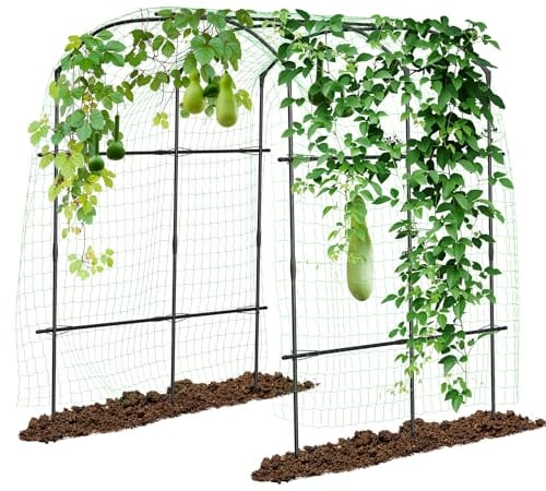 SUNYRISY Grande arche de jardin pour plantes grimpantes - Support en métal revêtu de polyéthylène - 220 cm de haut - Avec treillis - Pour luffa, concombre, rosier, plantes grimpantes en plein air