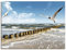 ARTLAND Wanddeko Leinwand Bilder Wandbild 80x60 cm Strand Meer Maritim Landschaft See Ostsee Möwe Himmel Sommer T5QR
