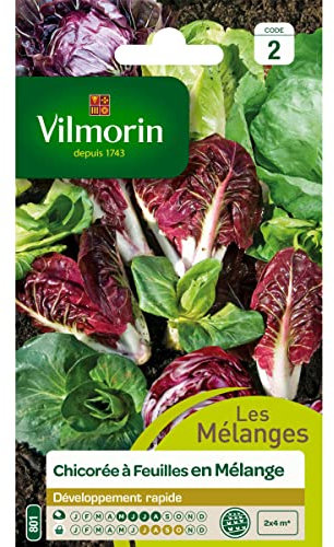 Vilmorin - Sachet graines Chicorée à Feuilles en Mélange