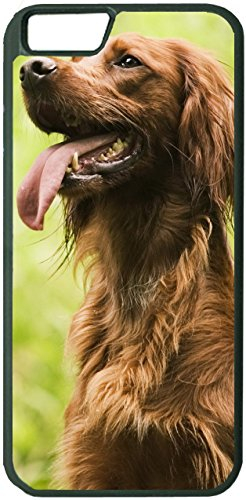 Yanteng Fall für iPhone 7 iPhone 8 (4.7 Zoll) Irischer Setter