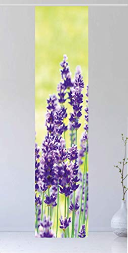 Flächenvorhang Der Lavendel 1, 260 cm hoch, 60 cm breit - Schiebevorhang - Schiebegardine, Tolles Naturmotiv - Ruhe - Entspannung