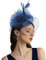 Focupaja Fascinator Hüte Damen Pillbox Hut mit Mesh Schleier Federn Derby Stirnband Hochzeit Kopfbedeckung Tea Party Haarspange 1950er Vintage Fascinator W4-48-Marineblau