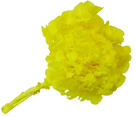 Zelda Bomboniere Ortensia Stabilizzata A 4 Steli Diametro 20 Cm Giallo