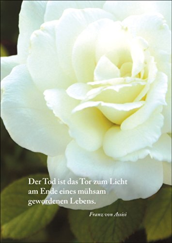 Kartenkaufrausch Trauerkarte: Der Tod ist das Tor zum Licht am Ende eines mühsam gewordenen Lebens. - Kondolenzkarte mit schöner Rose • einfühlsame Anteilnahme Grußkarte um zu kondolieren