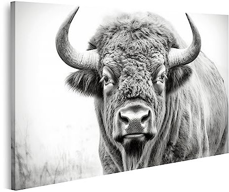 islandburner Bild auf Leinwand Porträt Großes Europäisches Bison Schwarz Weiß Bilder Wandbilder Poster JCSB-1P