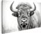islandburner Bild auf Leinwand Porträt Großes Europäisches Bison Schwarz Weiß Bilder Wandbilder Poster JCSB-1P