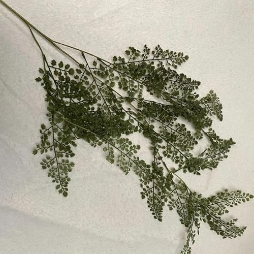 ABCWARRT 2pcs Simulation Green Plant Fern Leaf Vine Wedding Decor Artificial Ferns Leaves Fake Plants Vines Garden Hotel Decoration (small cypress 2)