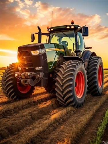 DIY 5D Erwachsene und Anfänger Diamant Malerei Set Bohren Voll Bauernhof Grün Traktor Sonnenuntergang Bild Diamond Painting Gemälde Arts Perfekt Für Entspannung Und Decor Platz Drill 25x35cm AB1024