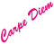 20cm Carpe Diem Schriftzug Aufkleber Tattoo Deko Folie Wandtattoo für Auto Wand Tür Fenster (pink)